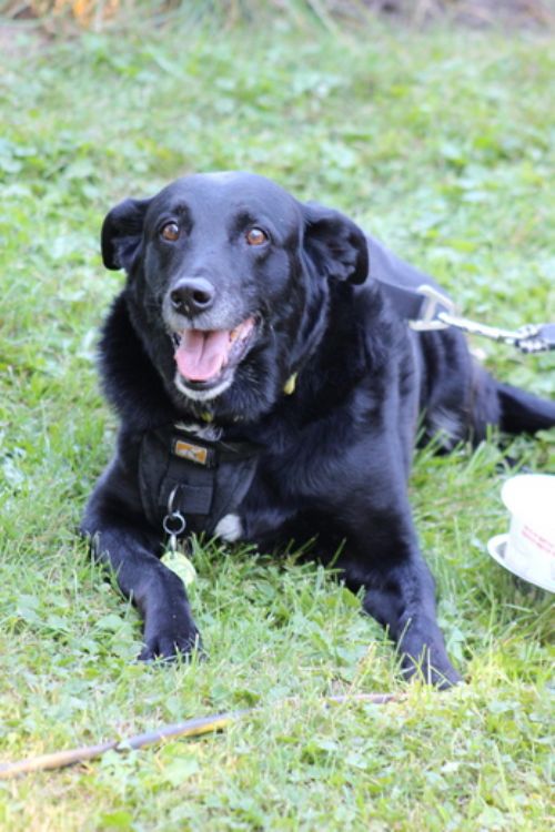 UPDATE September 3, 2023 Outdoor Worship and Blessing of the Animals